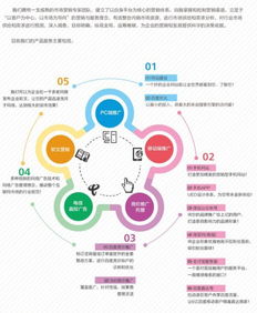 优化 郑州比较好的优化费用 年网信息技术